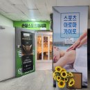 손담 이미지