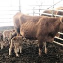 장수축산업협동조합 이미지