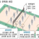 배구의모든것