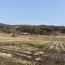 서천한가