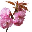 청천-e배움터 이미지