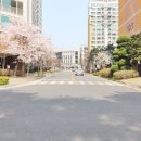 한밭공인중개사사무소 이미지