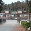 국립남해편백자연휴양림 이미지