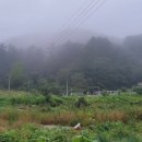 화북면사무소 화장실 이미지