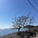 관리도바다민박 이미지