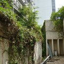 세흥시장 이미지