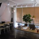 일러스트레이터 이미지