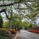 용인효사랑 이미지