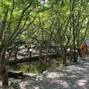 빽다방완주고산점 | 완주 계곡 고산자연휴양림 정자 22번 평상 예약 이용후기
