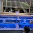 올망똘망스튜디오 이미지