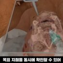메디비스 이미지