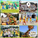 타임 | 2025 할로윈 축제 에버랜드 스마일리 펌킨 퍼레이드 오즈 워킹 포토타임 후기