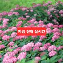 내리목장 이미지