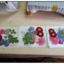 압화&꽃차 이미지