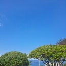 여수 보라네 펜션 | 자연 속 힐링 여행, 여수펜션 하늘보라펜션 후기