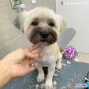 을지라사 네이버블로그