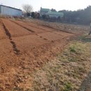 익산애견테마파크 이미지