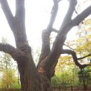 철원농장 이미지