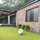 숲속 댕댕이(애견미용실) 이미지