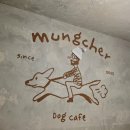 멍브라더 애견카페 | 송내애견카페 멍쉘｜부에서 만난 감성 애견카페 후기