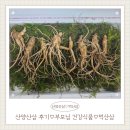 산양 | 산양산삼 리얼 후기♡부담 없이 시작한 먹산삼, 솔직 기록