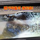 구지로R | 동상동변기막힘 의 원인은! 김해변기교체 를 해야하나요?