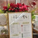 구목씨의 휴식 이미지