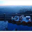 문향영양 이미지