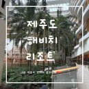 해비치유치원 | 제주 해비치 리조트 오션뷰 후기｜7살 아이와 제주 여행 숙소로 최고였던 이유