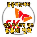 15% 유류세 인하 정보 - 인천 구별 최저가 주유소 정리