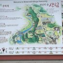 화수정 | 10월 경남 가볼만한 곳 함양 상림공원 꽃밭에 다녀왔어요