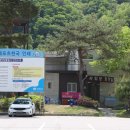 현대펜션래프팅
