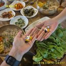 보리쌈밥 이미지