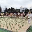 남면초등학교 이미지