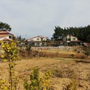 수룡농장 이미지