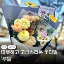 부들 | 인천 청라 꽃집 부들 후기｜따뜻하고 고급스러운 부모님 꽃다발 추천