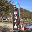 생태공예힐링핼퍼(2급) | [공지] 대구 인근 가볼만한곳 합천 신소양체육공원 핑크뮬리 가을 꽃구경