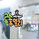 티나주얼리 네이버블로그