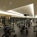 시그널 크로스핏 이미지