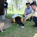 길고양이-주민 공존 꿈꾼다… 도내 첫 공공급식소 창원에 이미지