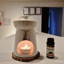 엠브이지(MVG) 이미지