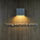 영 에스테틱(Young aesthetic)