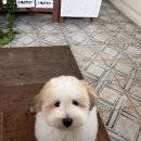 청학2동-10 이미지