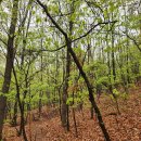 수지근린공원 이미지