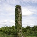 일과2리 이미지