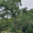 기탄 수제면 육수 제작소 이미지