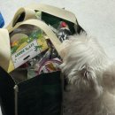 폴리파크 진평점 이미지