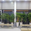 디딤동물병원 이미지