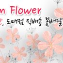 예솜플라워