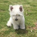 말랑말랑 이미지